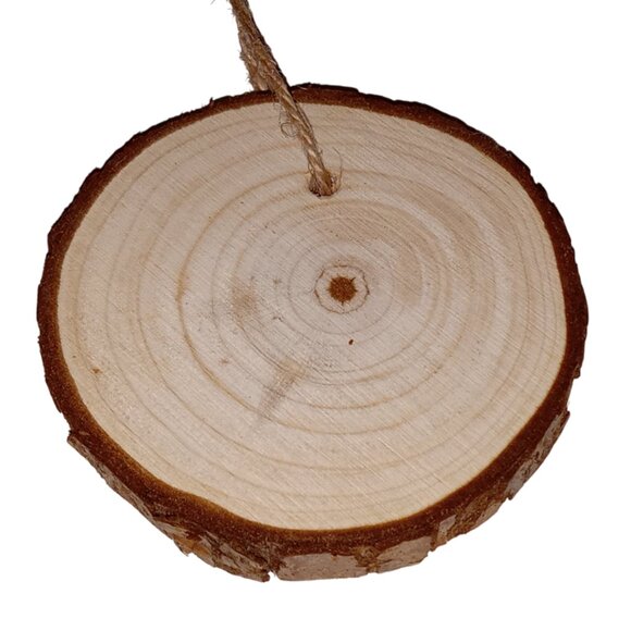 🎯 Cute Handmade, Hand Painted Small Wooden Disc, Hanging Ornament - Picture 4 of 10